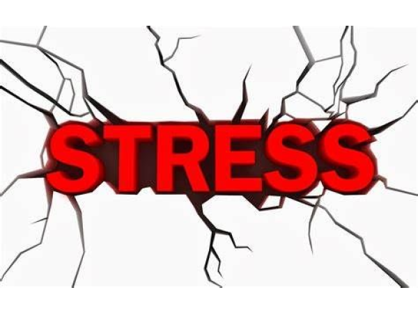 Stressz és egészség