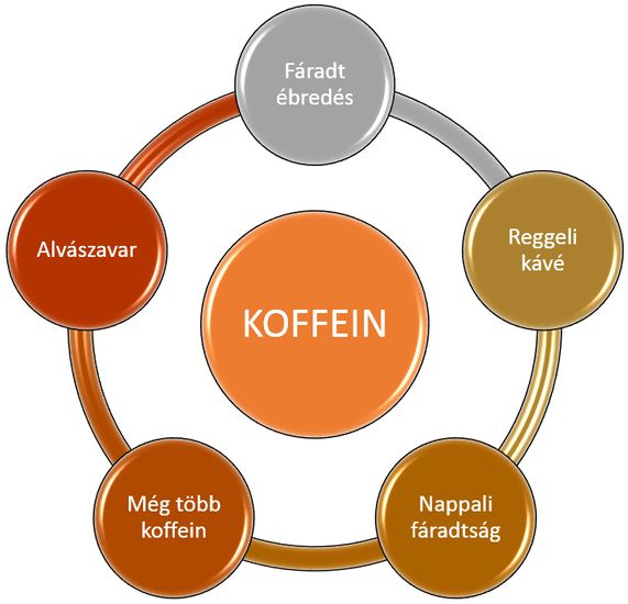 Koffein-alvászavar-kávézás ördögi köre