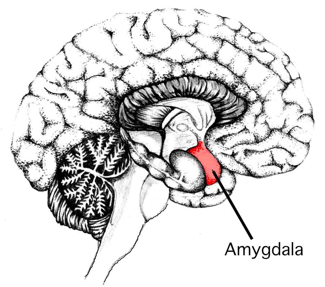 Szorongáscsökkentők - benzodiazepinek, gyógyszerek, győri pszichiáter, pszichiáter Győr, depresszió, pánik, alvászavar